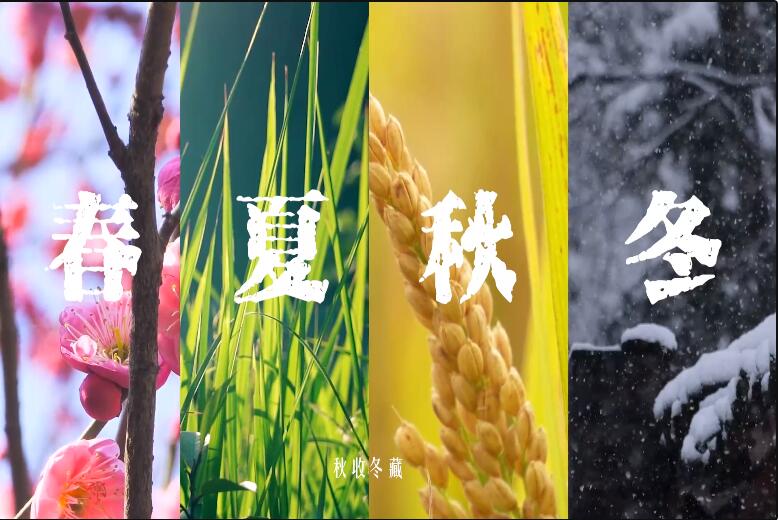video Image