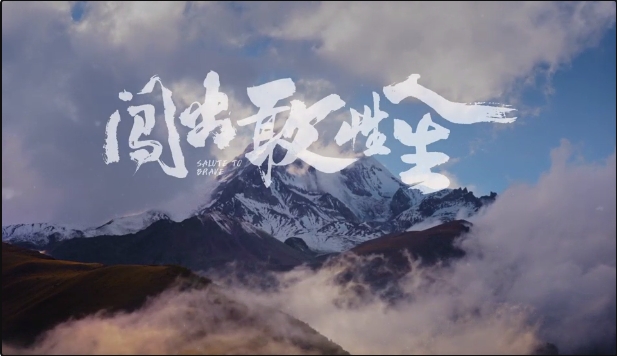 video Image