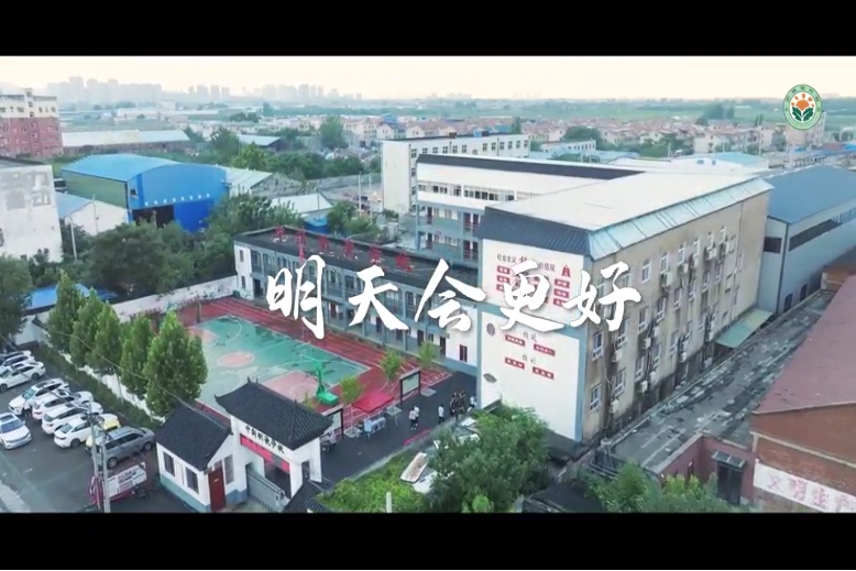 一株太阳草温暖千万人