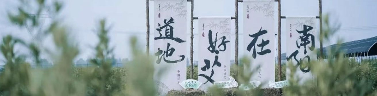  薪火不息 征途如虹 | 2025国医华草年中大事件回顾